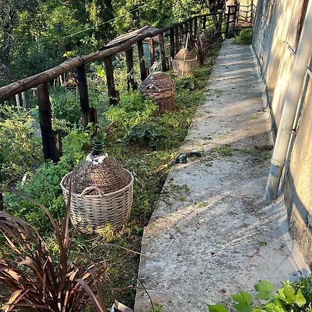 Allegra In The Nature ヴィラ